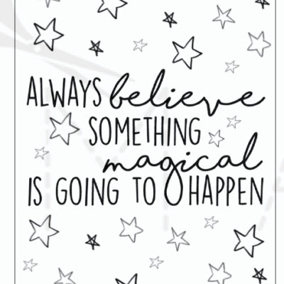 Plantastic Boxes - Always Believe