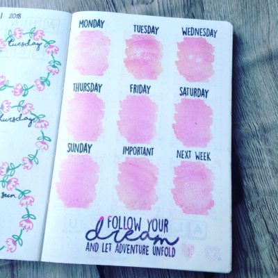 Plantastic Boxes - Splodge