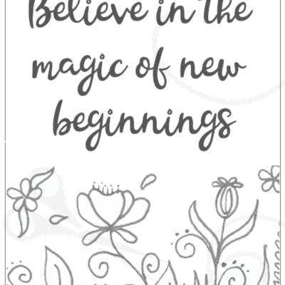 Plantastic Boxes - New Beginnings