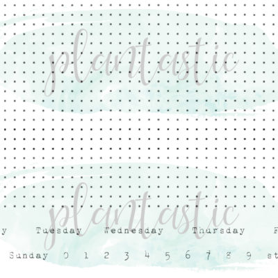 Dot Grid with Days & Numbers - Typewriter